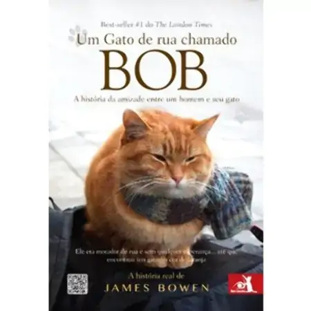 Um Gato De Rua Chamado Bob A História Da Amizade Entre Um Homem E Seu Gato James Bowen