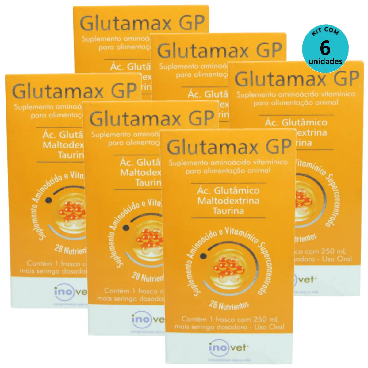 Glutamax GP Suplemento Para Animais 250ml Inovet Kit C/ 6